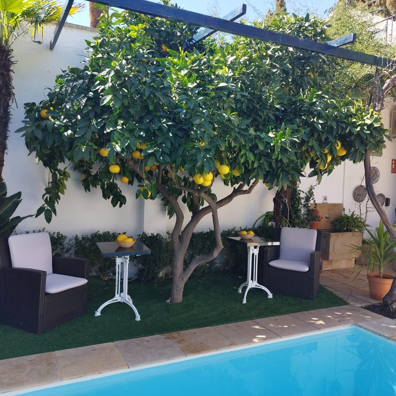 Suite Comares Γρανάδα Εξωτερικό φωτογραφία
