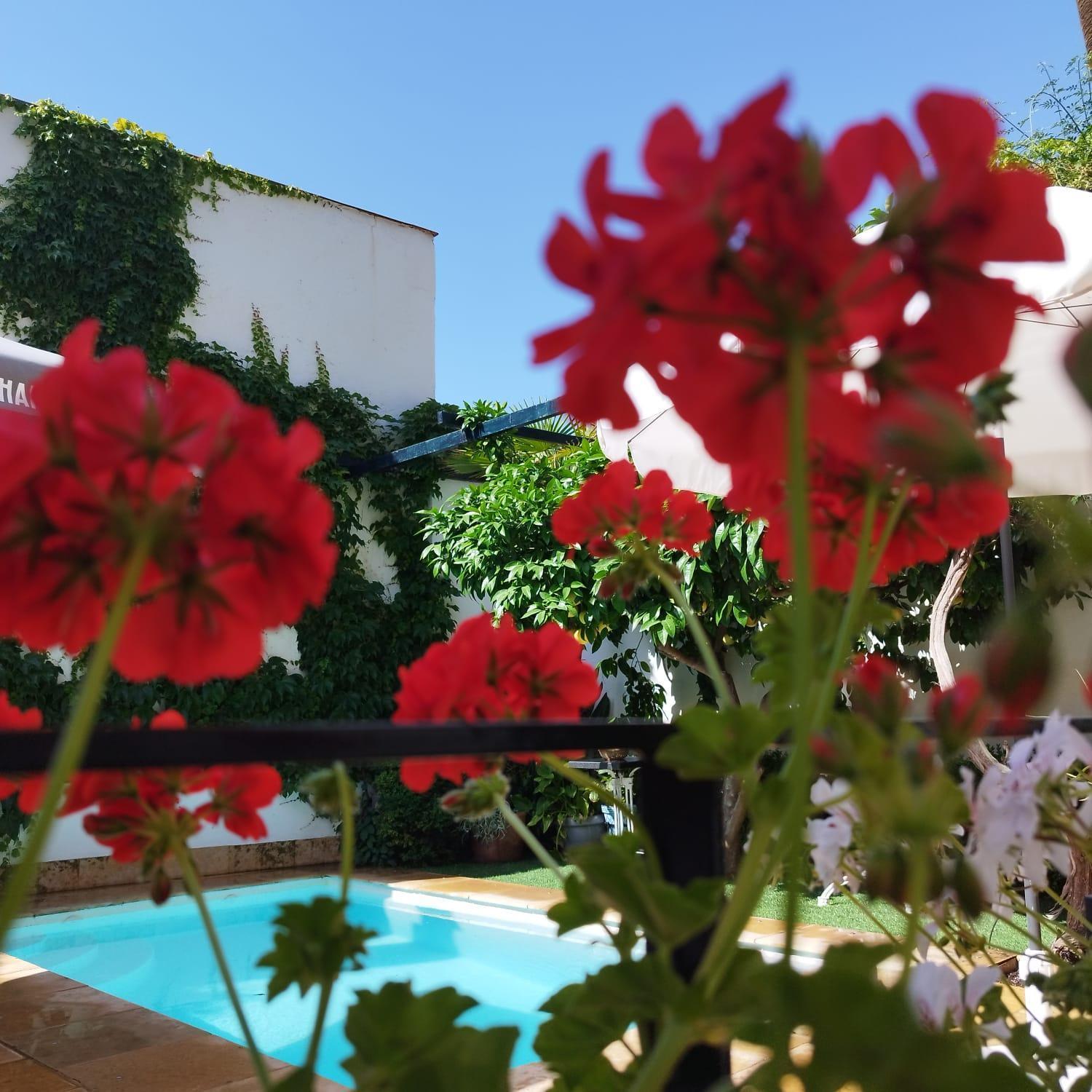 Suite Comares Γρανάδα Εξωτερικό φωτογραφία